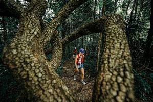 BIB: 
                            <button type="button" onclick="openModal(25668553)" class="btn btn-primary btn-sm float-right btn-popup" data-toggle="modal" data-target=".modal-high-quality">
                        <i class="fas fa-shopping-cart"></i> Add to Cart
                    </button>
                                            <button type="button" onclick="isThisMe(25668553, true)" class="btn btn-success btn-sm float-right btn-popup btn-isme hidden" data-toggle="tooltip" data-placement="bottom" title="นี่คือรูปของคุณใช่ไหม คลิกที่นี่เพื่อเอาเข้าอัลบั้ม">
                        <i class="fas fa-plus"></i> Add to album
                    </button>
                    <button type="button" onclick="isThisMe(25668553, false)" class="btn btn-warning btn-sm float-right btn-popup btn-isnotme hidden">
                        <i class="fas fa-ban"></i> Remove from album
                    </button>